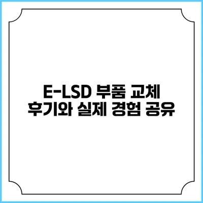 E-LSD 부품 교체 후기와 실제 경험 공유