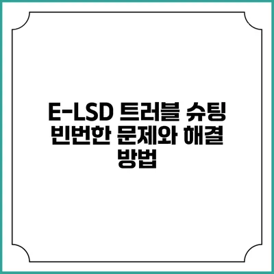 E-LSD 트러블 슈팅 빈번한 문제와 해결 방법