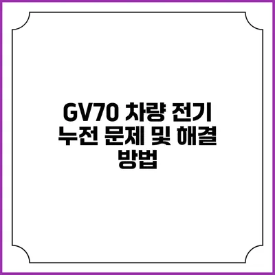 GV70 차량 전기 누전 문제 및 해결 방법