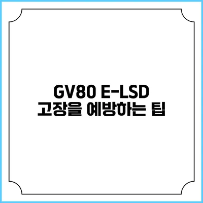 GV80 E-LSD 고장을 예방하는 팁