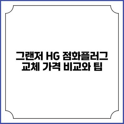 그랜저 HG 점화플러그 교체 가격 비교와 팁