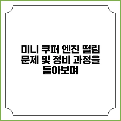 미니 쿠퍼 엔진 떨림 문제 및 정비 과정을 돌아보며