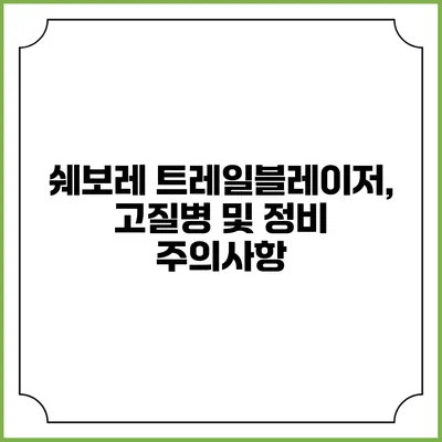 쉐보레 트레일블레이저, 고질병 및 정비 주의사항