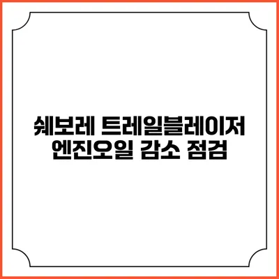 쉐보레 트레일블레이저 엔진오일 감소 점검