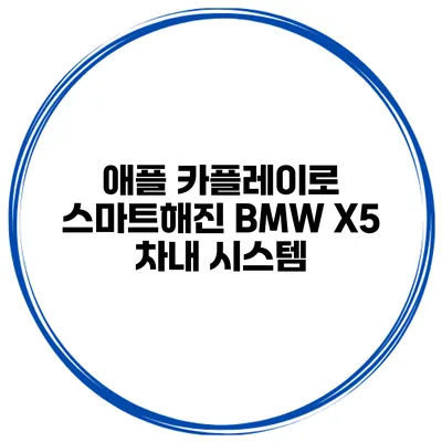 애플 카플레이로 스마트해진 BMW X5 차내 시스템