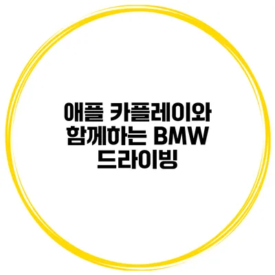 애플 카플레이와 함께하는 BMW 드라이빙