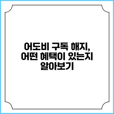 어도비 구독 해지, 어떤 혜택이 있는지 알아보기