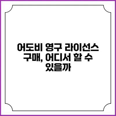어도비 영구 라이선스 구매, 어디서 할 수 있을까?