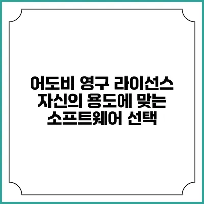 어도비 영구 라이선스 자신의 용도에 맞는 소프트웨어 선택