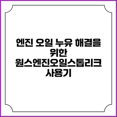 엔진 오일 누유 해결을 위한 원스엔진오일스톱리크 사용기