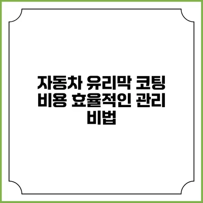 자동차 유리막 코팅 비용 효율적인 관리 비법