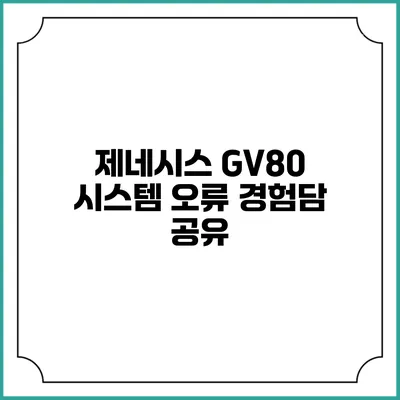 제네시스 GV80 시스템 오류 경험담 공유