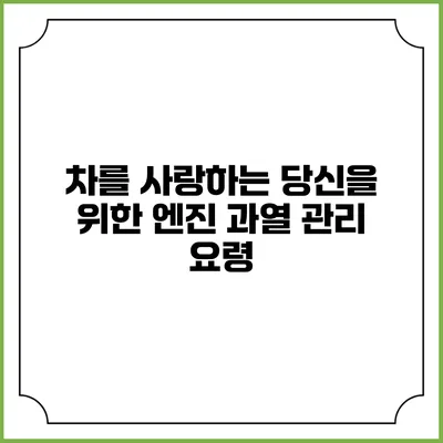 차를 사랑하는 당신을 위한 엔진 과열 관리 요령
