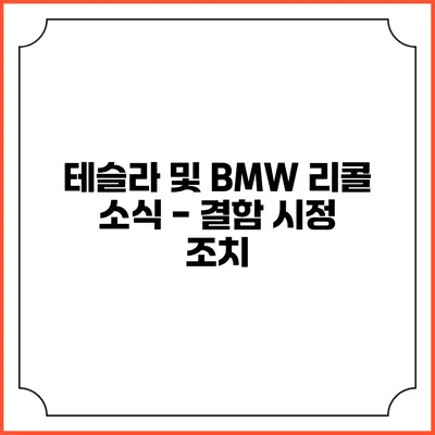 테슬라 및 BMW 리콜 소식 - 결함 시정 조치