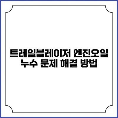 트레일블레이저 엔진오일 누수 문제 해결 방법